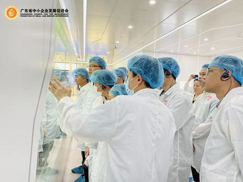 會員專享 探秘世界一流透明工廠，開啟工業(yè)智造新視界